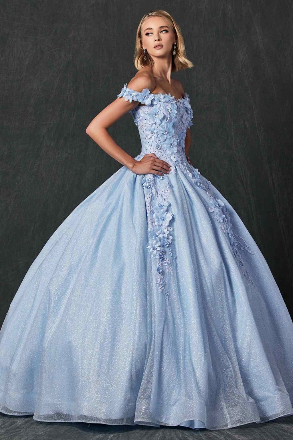 Juliet 1433 Dress Quinceanera Ball Gown 3D Floral Embroidered