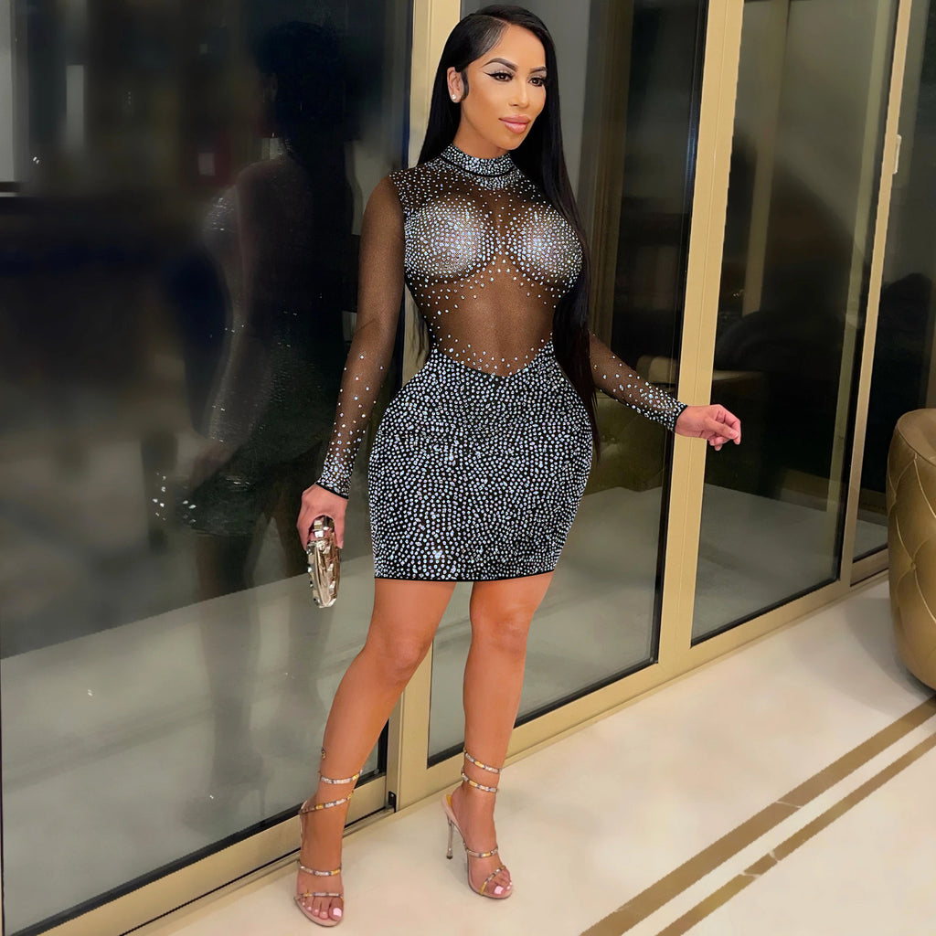 Glitter Mesh Long-Sleeve Mini Dress