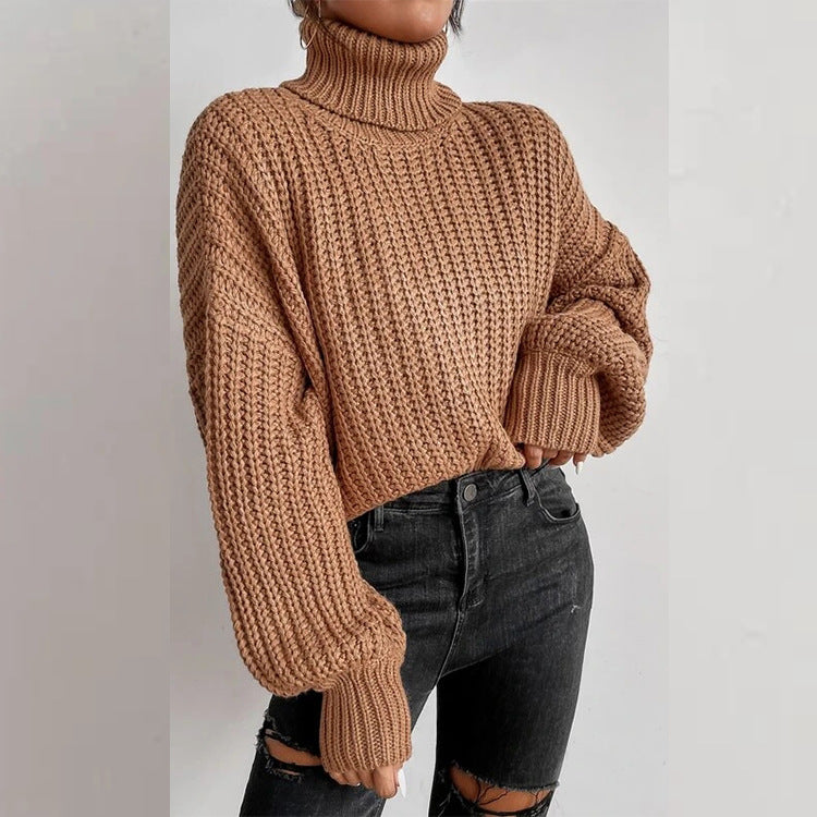 Relaxed Turtleneck Knit Sweater
