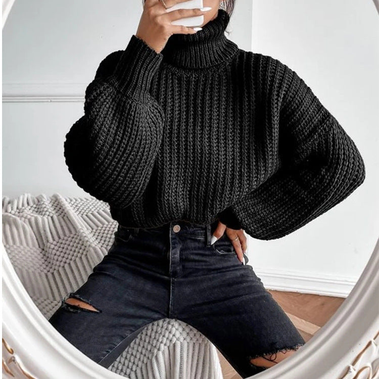 Relaxed Turtleneck Knit Sweater