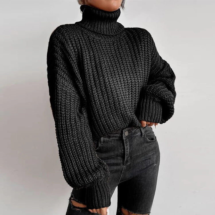 Relaxed Turtleneck Knit Sweater