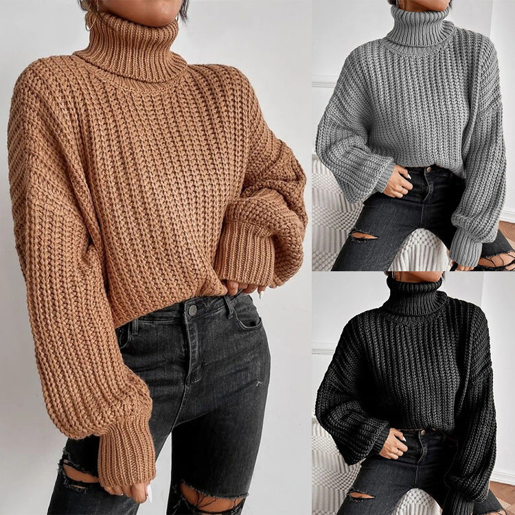 Relaxed Turtleneck Knit Sweater