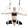 Aerial Yoga Hammock & Swing Set