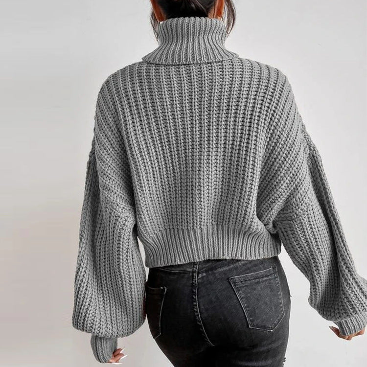 Relaxed Turtleneck Knit Sweater