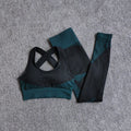 Seamless Long-Sleeve Yoga Set