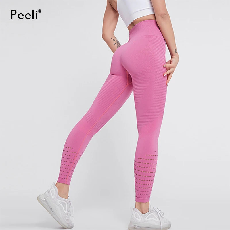High-Waisted Seamless Workout |  Tummy Control Leggings