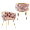 Pink Velvet Accent Chairs | Set of 2