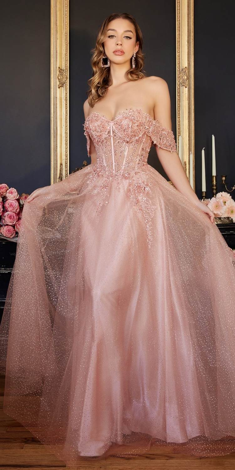 Cinderella Divine CD0198 Long Lace A-Line Gown with Off the Shoulder Sleeves