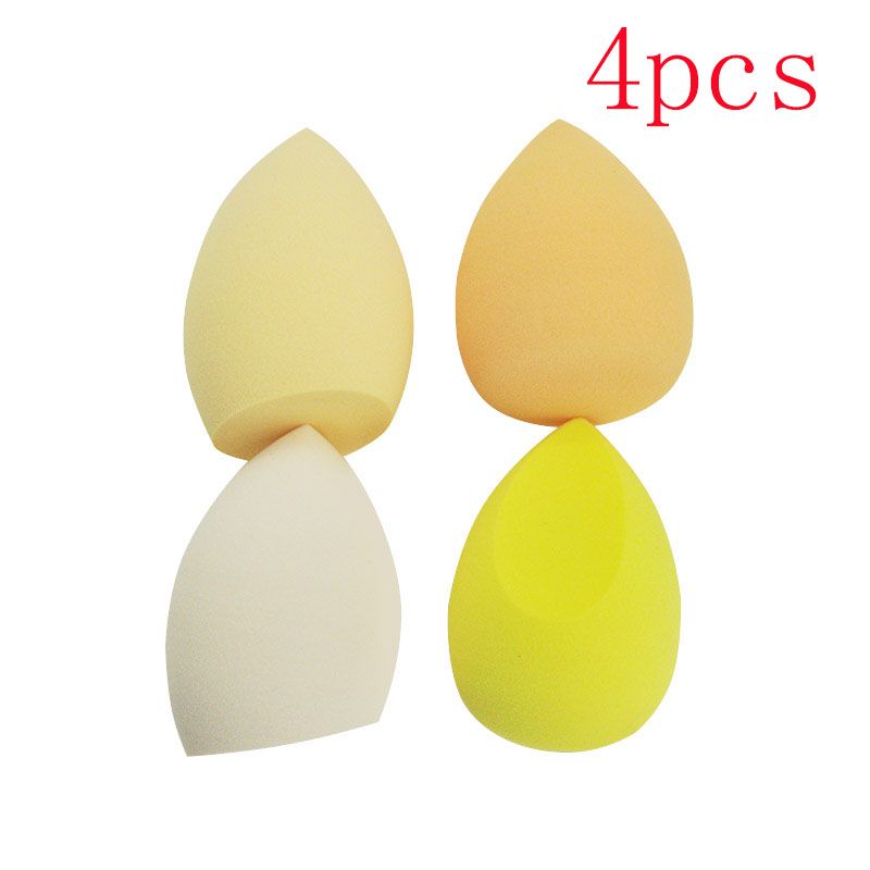 Wet & Dry Makeup Sponge with Storage Case