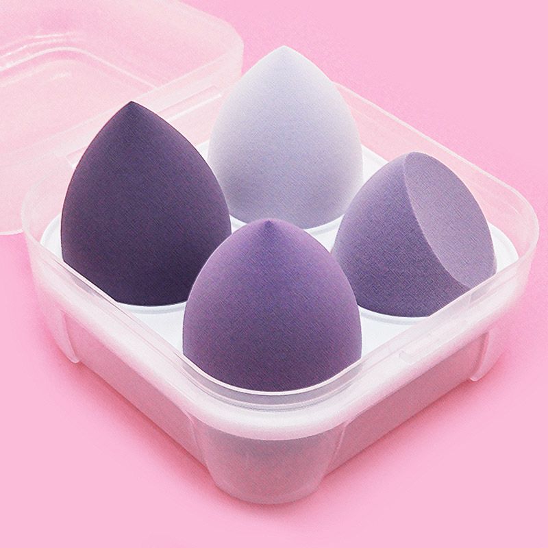Wet & Dry Makeup Sponge with Storage Case